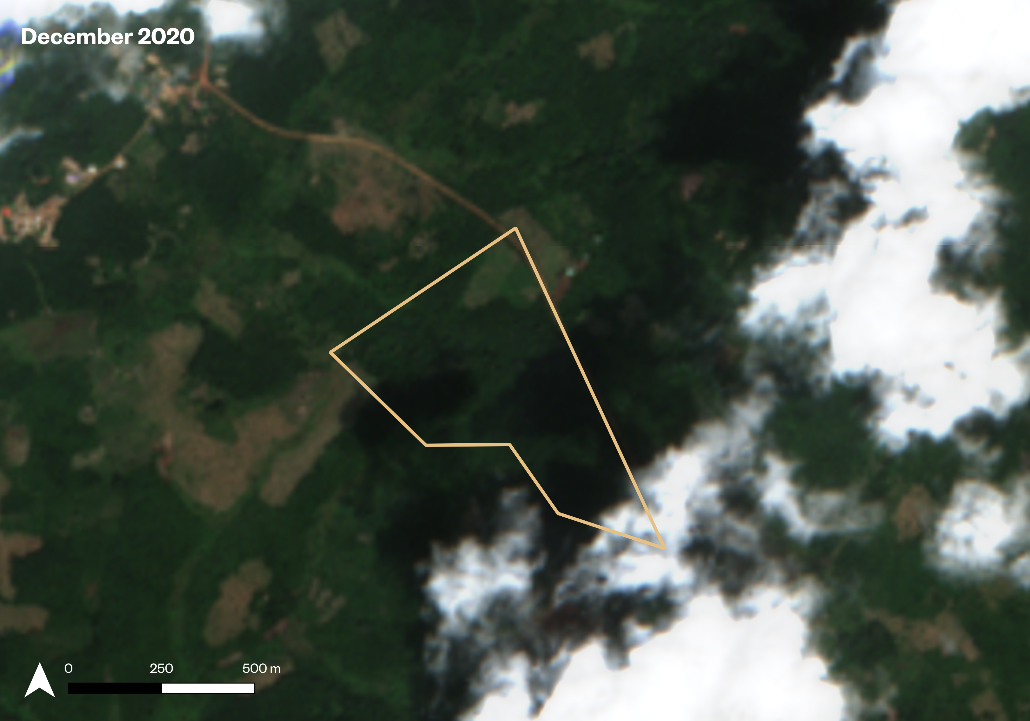 Chocolate giants fuel deforestation in West Africa's last